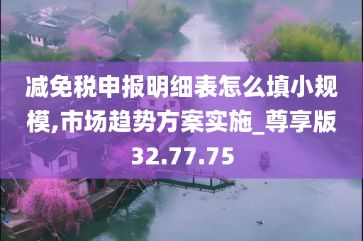 减免税申报明细表怎么填小规模,市场趋势方案实施_尊享版32.77.75