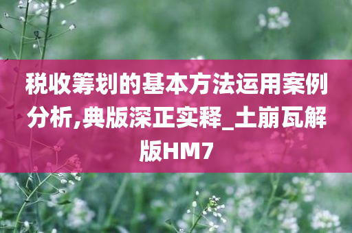 税收筹划的基本方法运用案例分析,典版深正实释_土崩瓦解版HM7