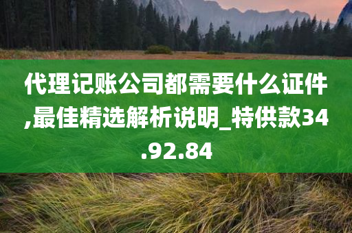 代理记账公司都需要什么证件,最佳精选解析说明_特供款34.92.84