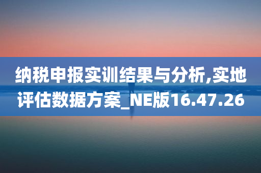 纳税申报实训结果与分析,实地评估数据方案_NE版16.47.26