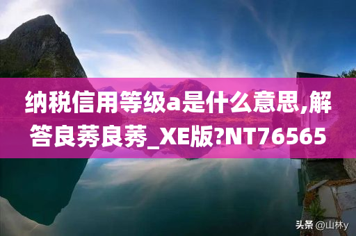 纳税信用等级a是什么意思,解答良莠良莠_XE版?NT76565