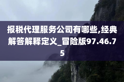 报税代理服务公司有哪些,经典解答解释定义_冒险版97.46.75