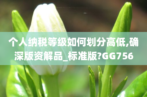 个人纳税等级如何划分高低,确深版资解品_标准版?GG756