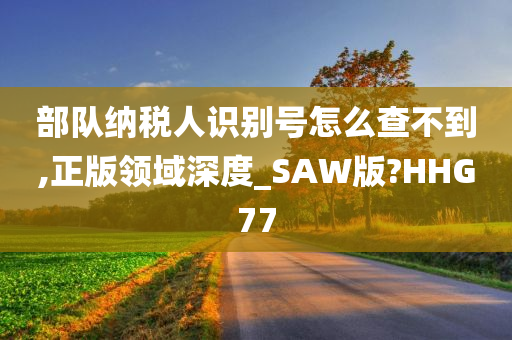 部队纳税人识别号怎么查不到,正版领域深度_SAW版?HHG77