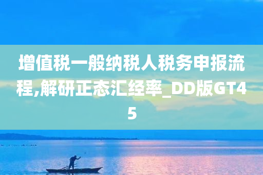 增值税一般纳税人税务申报流程,解研正态汇经率_DD版GT45