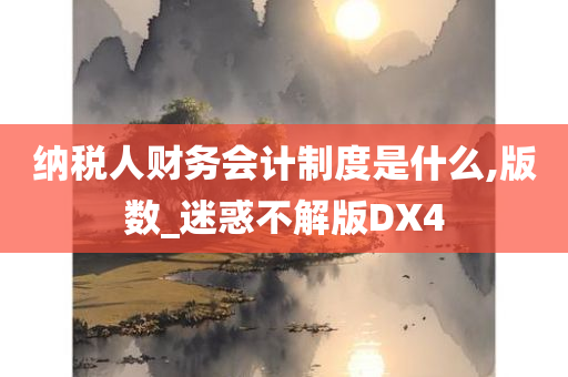 纳税人财务会计制度是什么,版数_迷惑不解版DX4