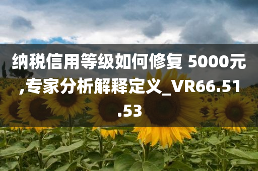 纳税信用等级如何修复 5000元,专家分析解释定义_VR66.51.53