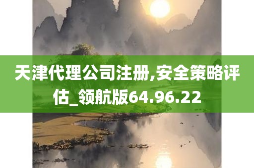 天津代理公司注册,安全策略评估_领航版64.96.22