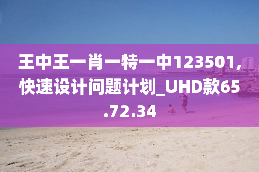 王中王一肖一特一中123501,快速设计问题计划_UHD款65.72.34