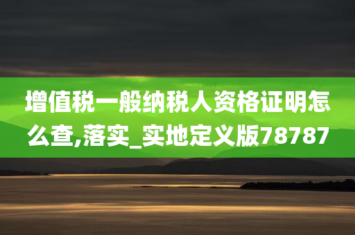 增值税一般纳税人资格证明怎么查,落实_实地定义版78787