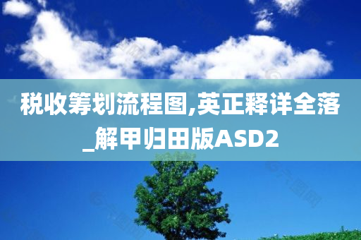 税收筹划流程图,英正释详全落_解甲归田版ASD2