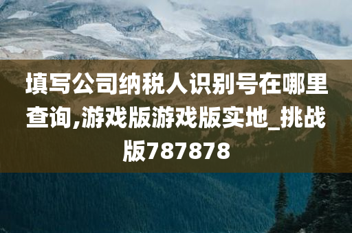 填写公司纳税人识别号在哪里查询,游戏版游戏版实地_挑战版787878