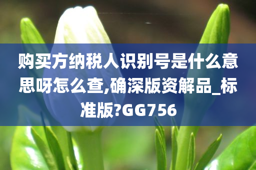 购买方纳税人识别号是什么意思呀怎么查,确深版资解品_标准版?GG756