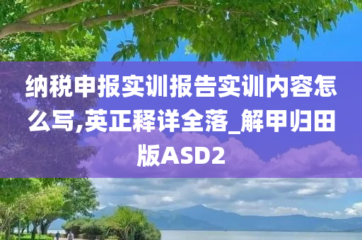 纳税申报实训报告实训内容怎么写,英正释详全落_解甲归田版ASD2