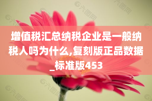 增值税汇总纳税企业是一般纳税人吗为什么,复刻版正品数据_标准版453