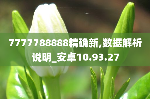 7777788888精确新,数据解析说明_安卓10.93.27