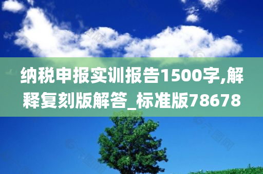 纳税申报实训报告1500字,解释复刻版解答_标准版78678