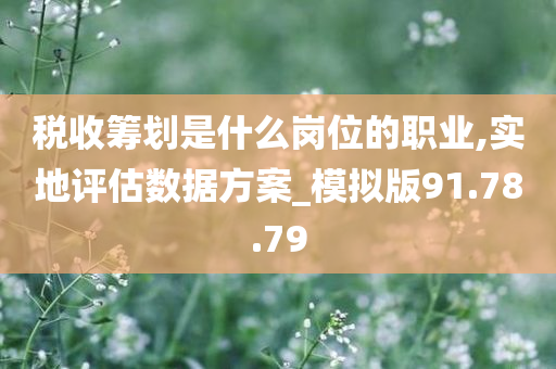 税收筹划是什么岗位的职业,实地评估数据方案_模拟版91.78.79