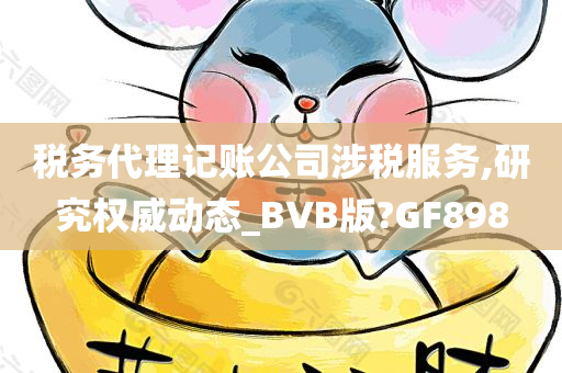 税务代理记账公司涉税服务,研究权威动态_BVB版?GF898