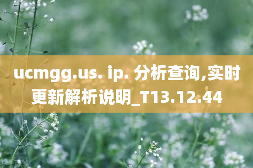 ucmgg.us. ip. 分析查询,实时更新解析说明_T13.12.44