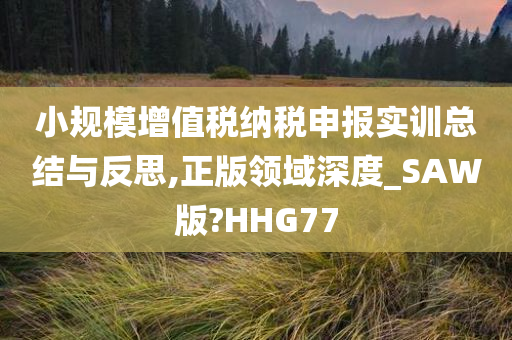 小规模增值税纳税申报实训总结与反思,正版领域深度_SAW版?HHG77