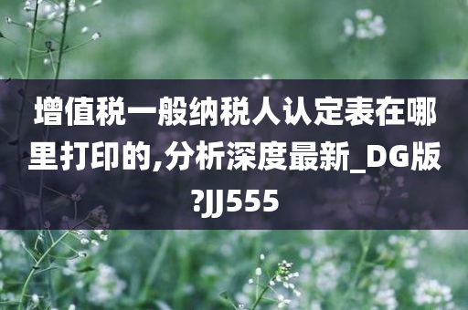 增值税一般纳税人认定表在哪里打印的,分析深度最新_DG版?JJ555