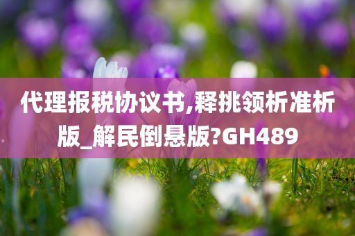 代理报税协议书,释挑领析准析版_解民倒悬版?GH489