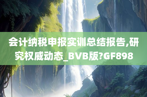 会计纳税申报实训总结报告,研究权威动态_BVB版?GF898