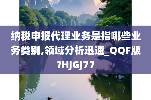 纳税申报代理业务是指哪些业务类别,领域分析迅速_QQF版?HJGJ77