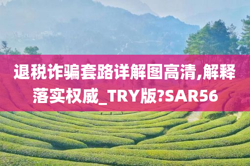 退税诈骗套路详解图高清,解释落实权威_TRY版?SAR56