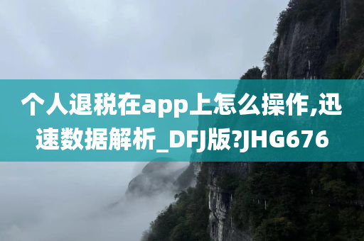 个人退税在app上怎么操作,迅速数据解析_DFJ版?JHG676