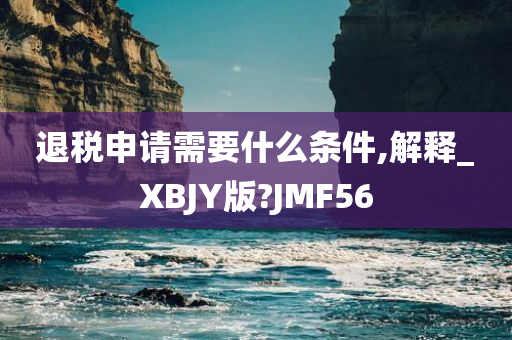 退税申请需要什么条件,解释_XBJY版?JMF56