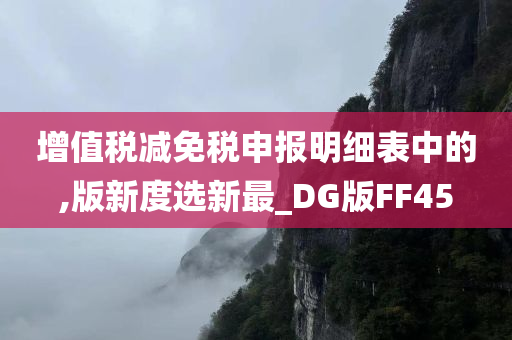 增值税减免税申报明细表中的,版新度选新最_DG版FF45