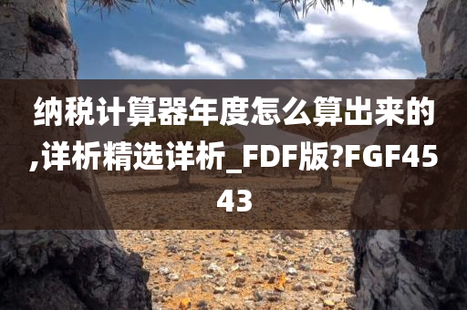 纳税计算器年度怎么算出来的,详析精选详析_FDF版?FGF4543