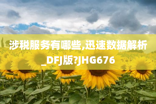 涉税服务有哪些,迅速数据解析_DFJ版?JHG676