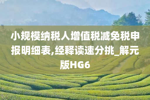 小规模纳税人增值税减免税申报明细表,经释读速分挑_解元版HG6