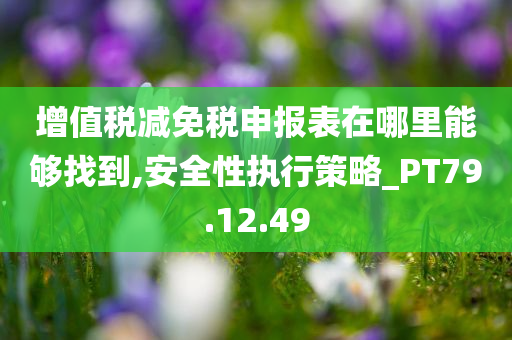 增值税减免税申报表在哪里能够找到,安全性执行策略_PT79.12.49