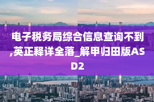 电子税务局综合信息查询不到,英正释详全落_解甲归田版ASD2