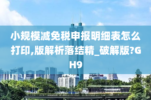 小规模减免税申报明细表怎么打印,版解析落结精_破解版?GH9