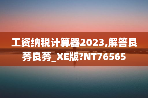 工资纳税计算器2023,解答良莠良莠_XE版?NT76565