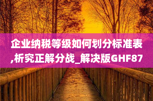 企业纳税等级如何划分标准表,析究正解分战_解决版GHF87