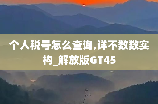 个人税号怎么查询,详不数数实构_解放版GT45