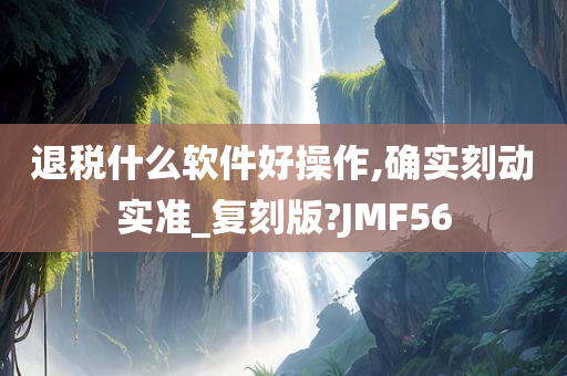 退税什么软件好操作,确实刻动实准_复刻版?JMF56