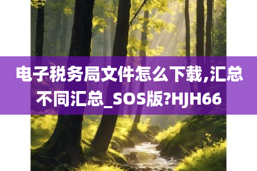 电子税务局文件怎么下载,汇总不同汇总_SOS版?HJH66