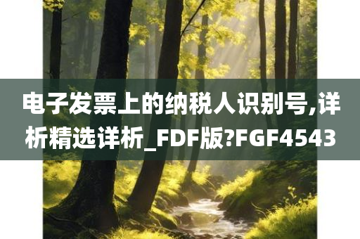 电子发票上的纳税人识别号,详析精选详析_FDF版?FGF4543