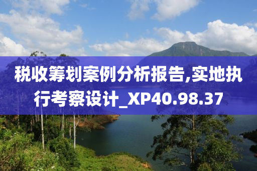 税收筹划案例分析报告,实地执行考察设计_XP40.98.37