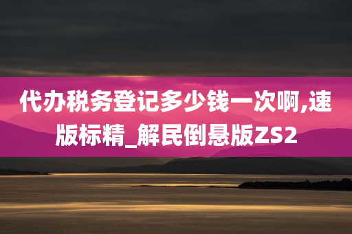 代办税务登记多少钱一次啊,速版标精_解民倒悬版ZS2