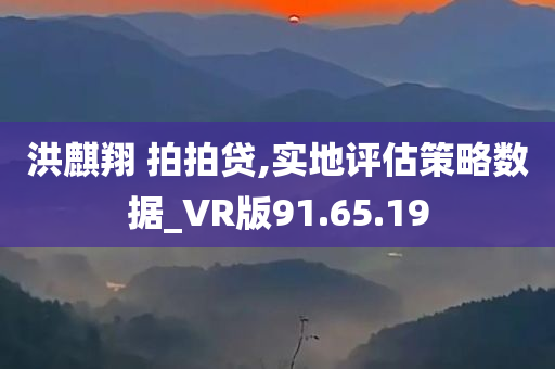 洪麒翔 拍拍贷,实地评估策略数据_VR版91.65.19