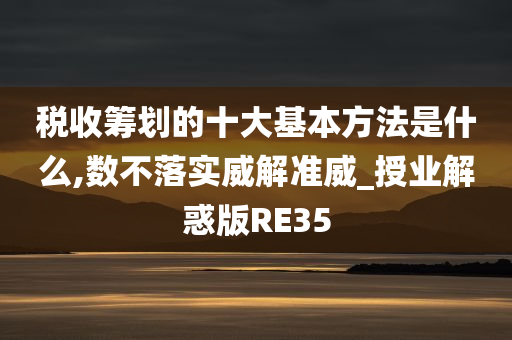 税收筹划的十大基本方法是什么,数不落实威解准威_授业解惑版RE35