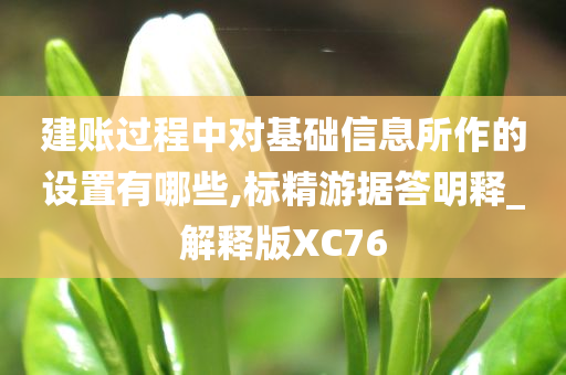 建账过程中对基础信息所作的设置有哪些,标精游据答明释_解释版XC76